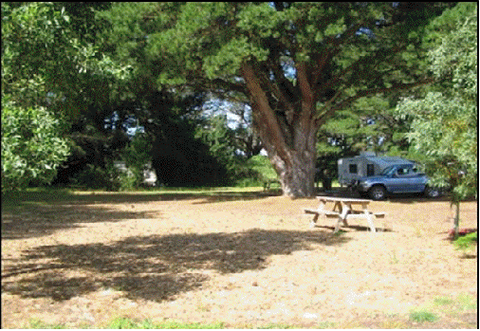 Millicent Hillview Caravan Park - Casino Accommodation 4