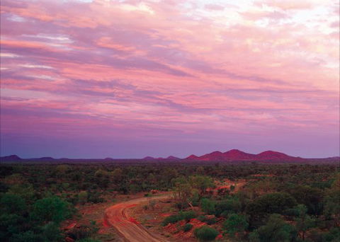 Bond Springs Outback Retreat - YWait Travel 3