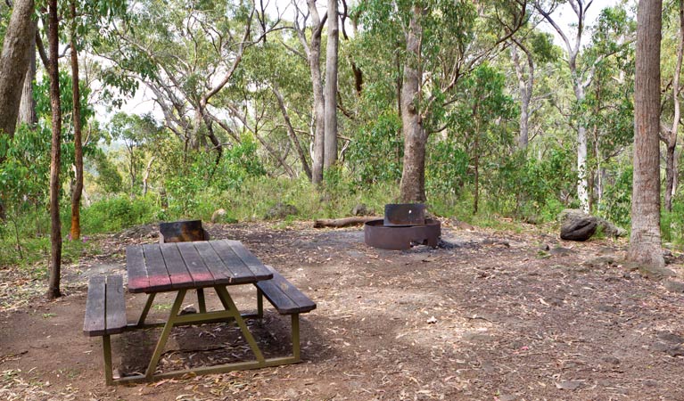 Kaputar NSW Townsville Tourism