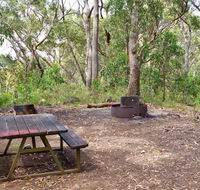 Bark Hut picnic area and campground - Byron Bay Accommodation