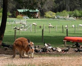 Diamond Forest Cottages And Farm Stay - Accommodation Broken Hill 0