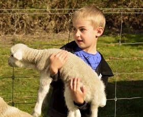 Diamond Forest Cottages And Farm Stay - Accommodation Broken Hill 1