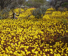 Yalgoo Caravan Park - Accommodation Australia 3