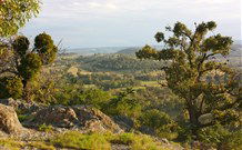 Widgee Murra - YWait Travel 6