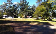 Mogood NSW Whitsundays Tourism