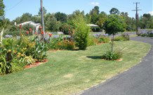 Glen Innes Motel - Glen Innes - Accommodation Australia 1