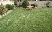 Glen Innes Motel - Glen Innes - Accommodation Australia 3
