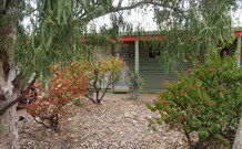 Lightning Ridge Outback Resort And Caravan Park - Lightning Ridge - Accommodation Australia 3