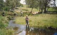 Milton Country Retreat - WA Accommodation 1