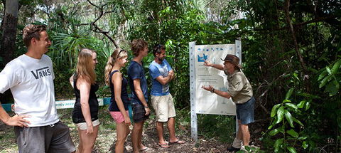 Magnetic Island YHA - WA Accommodation 8