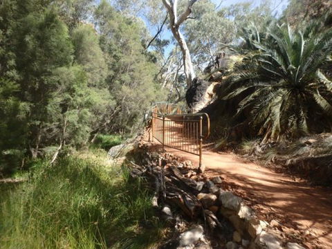 Standley Chasm Angkerle Camping - Hervey Bay Accommodation 7