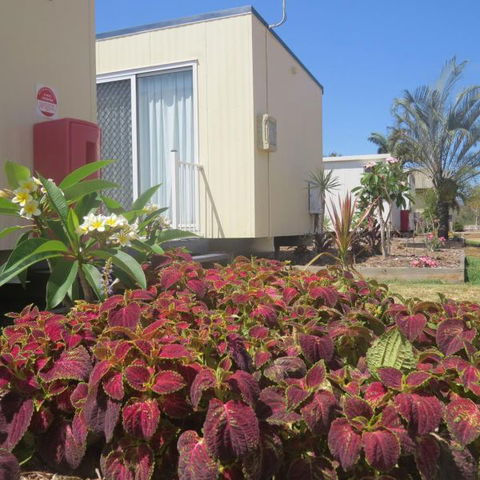 Bluewater Caravan Park - Hervey Bay Accommodation 3