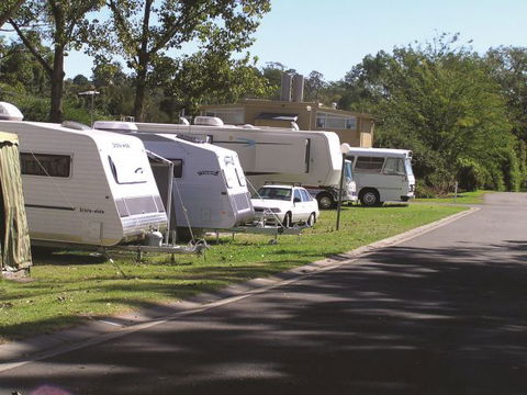 Poplar Tourist Park Camden - Byron Bay Accommodation 2