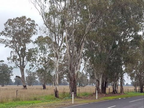 The Gums - WA Accommodation 8