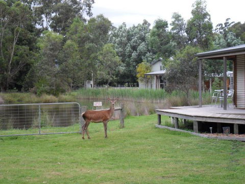 Grampians Chalets - Accommodation Find 3