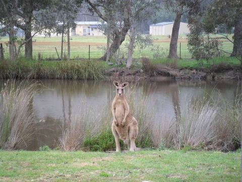 Grampians Chalets - Accommodation Find 4