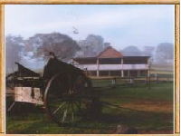 Megalong Valley Farm - WA Accommodation 0
