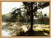 Megalong Valley Farm - WA Accommodation 2