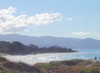 Bicheno On The Beach - Accommodation Australia 5