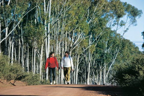 Congelin Camp At Dryandra Woodland - Accommodation Find 0