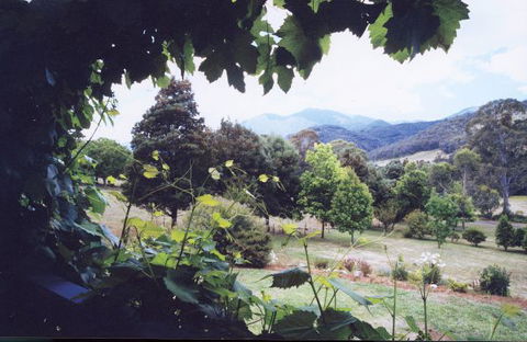 Springfield Cottage Bed & Breakfast - Accommodation Find 1