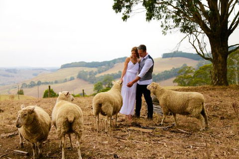 Halcyon Cottage Retreat - Self Contained Accommodation - WA Accommodation 2