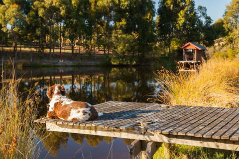 Otway Escapes Luxury Spa Accommodation - Holiday Melbourne 2