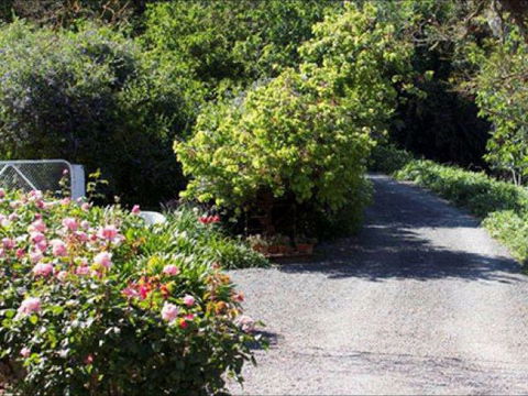 Brown's House Bed & Breakfast - Holiday Sydney 3