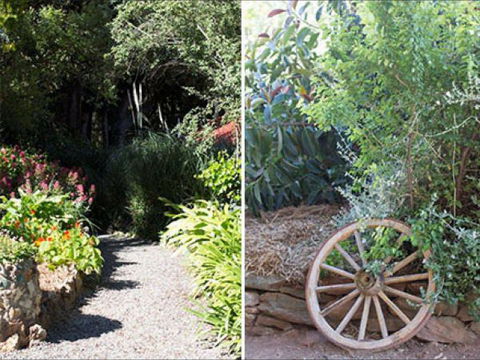 Brown's House Bed & Breakfast - Holiday Sydney 8