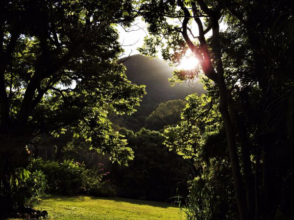 'The Dales' Boutique Bed And Breakfast - thumb 5