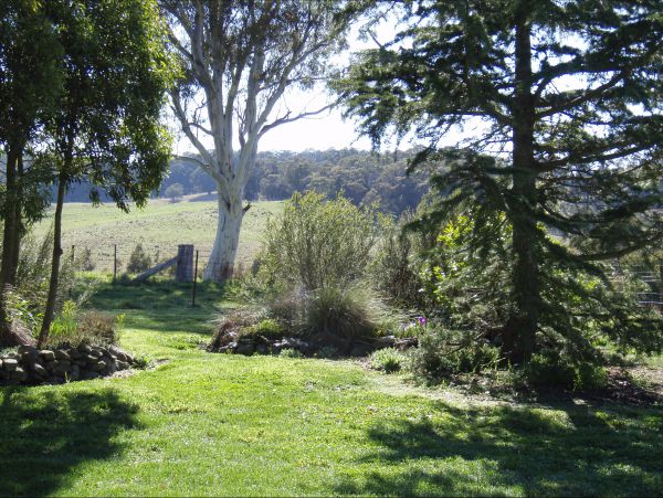 Avaleigh Elms Farmstay - thumb 1