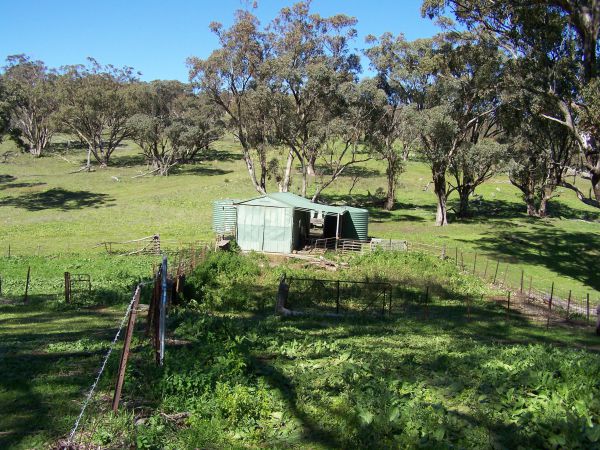 Catninga Mountain Camp Hut - thumb 7