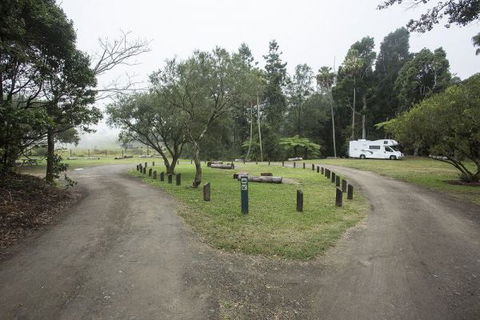 Eungella National Park Camping Ground - Accommodation Australia 0