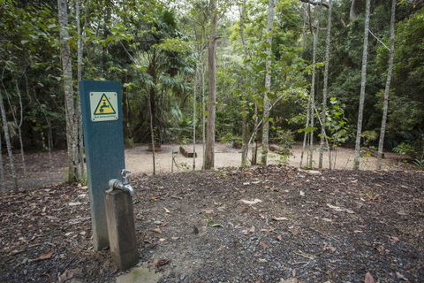 Eungella National Park Camping Ground - Accommodation Australia 2
