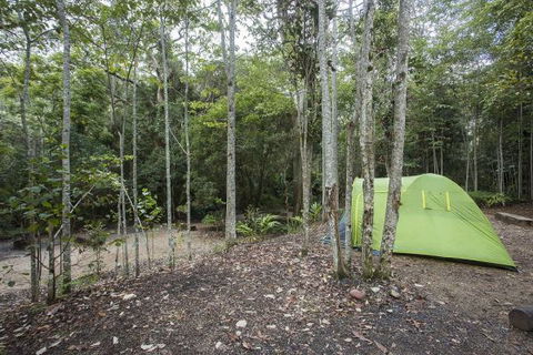 Eungella National Park Camping Ground - Accommodation Australia 3