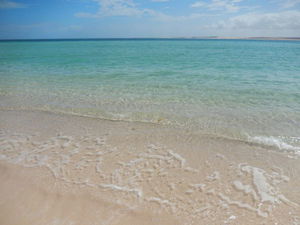 Gnaraloo Station