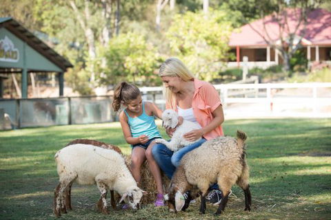 Paradise Country Farmstay - Accommodation Whitsundays 6
