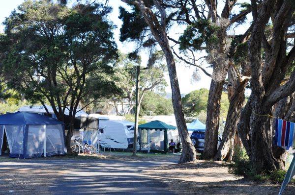 Queenscliff Tourist Park - thumb 2