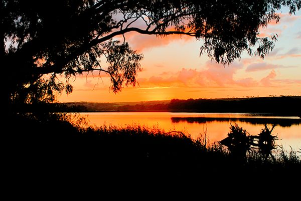 Riverview Rise Retreats - thumb 8