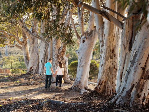 Rilli Retreat - WA Accommodation 3