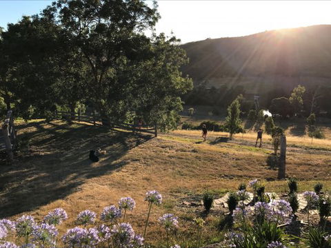 Shearer's Hill - Luxury Farm Stay - YWait Travel 9