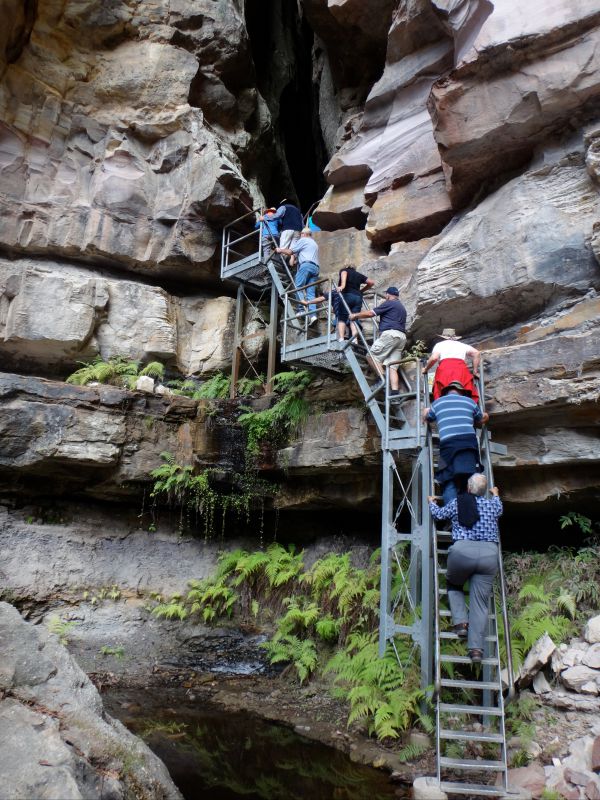 Takarakka Bush Resort Carnarvon Gorge - thumb 0