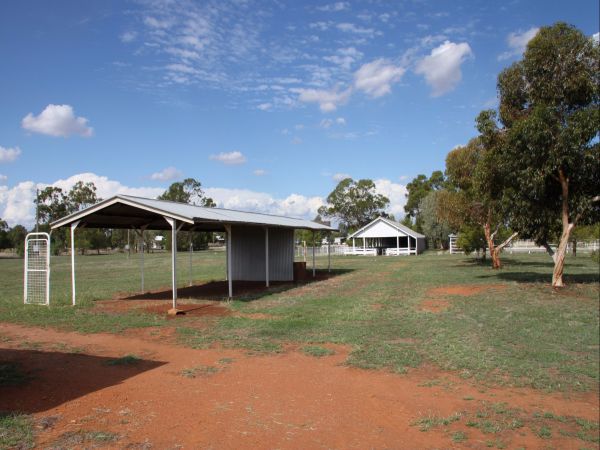 Trundle Showground - thumb 0