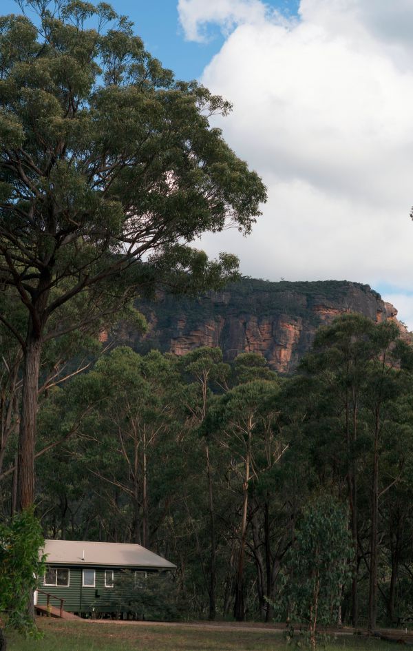 Werriberri - thumb 0