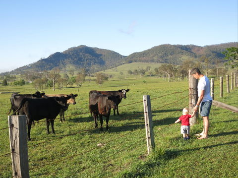 Barrington Hideaway- River Cottages - Accommodation Airlie Beach 6