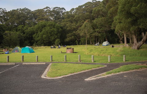 Bunya Mountains National Park Camping - Holiday Sydney 1