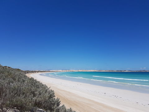 Coffin Bay National Park Campgrounds - Casino Accommodation 0