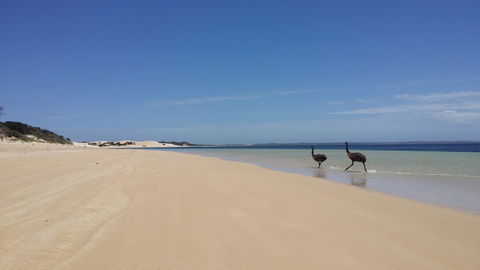Coffin Bay National Park Campgrounds - Casino Accommodation 3