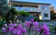 Cove Beach Apartment 1 - thumb 5