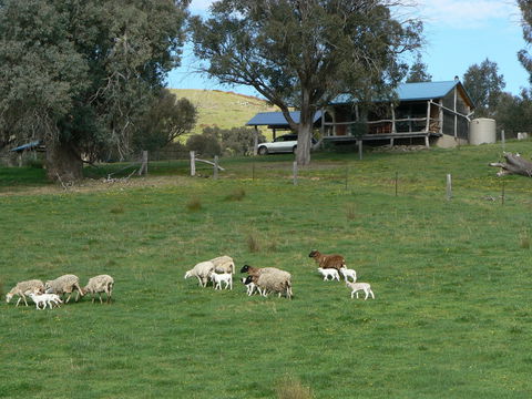 Gaddleen Grove Cottages - Accommodation Australia 0